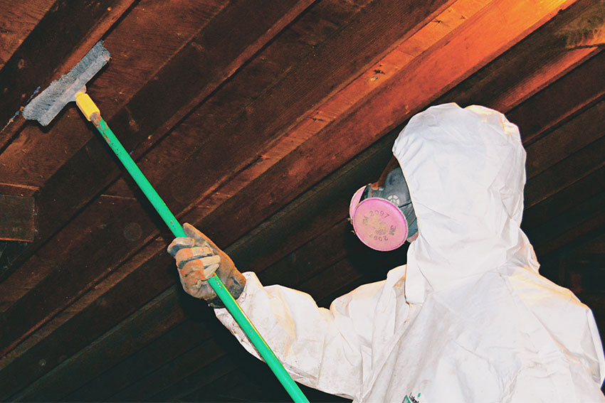 A masked person in a white suit cleans the ceiling, illustrating attic mold removal services offered in Sacramento, CA.