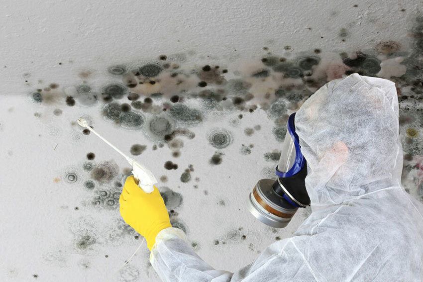 A man in a white suit and yellow gloves sprays a wall with mold treatment, indicating a mold removal service in Sacramento, CA.