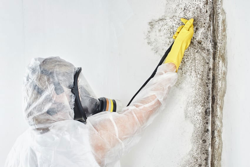 A professional in a protective suit removes mold from a wall, highlighting a mold removal service in Sacramento, CA.