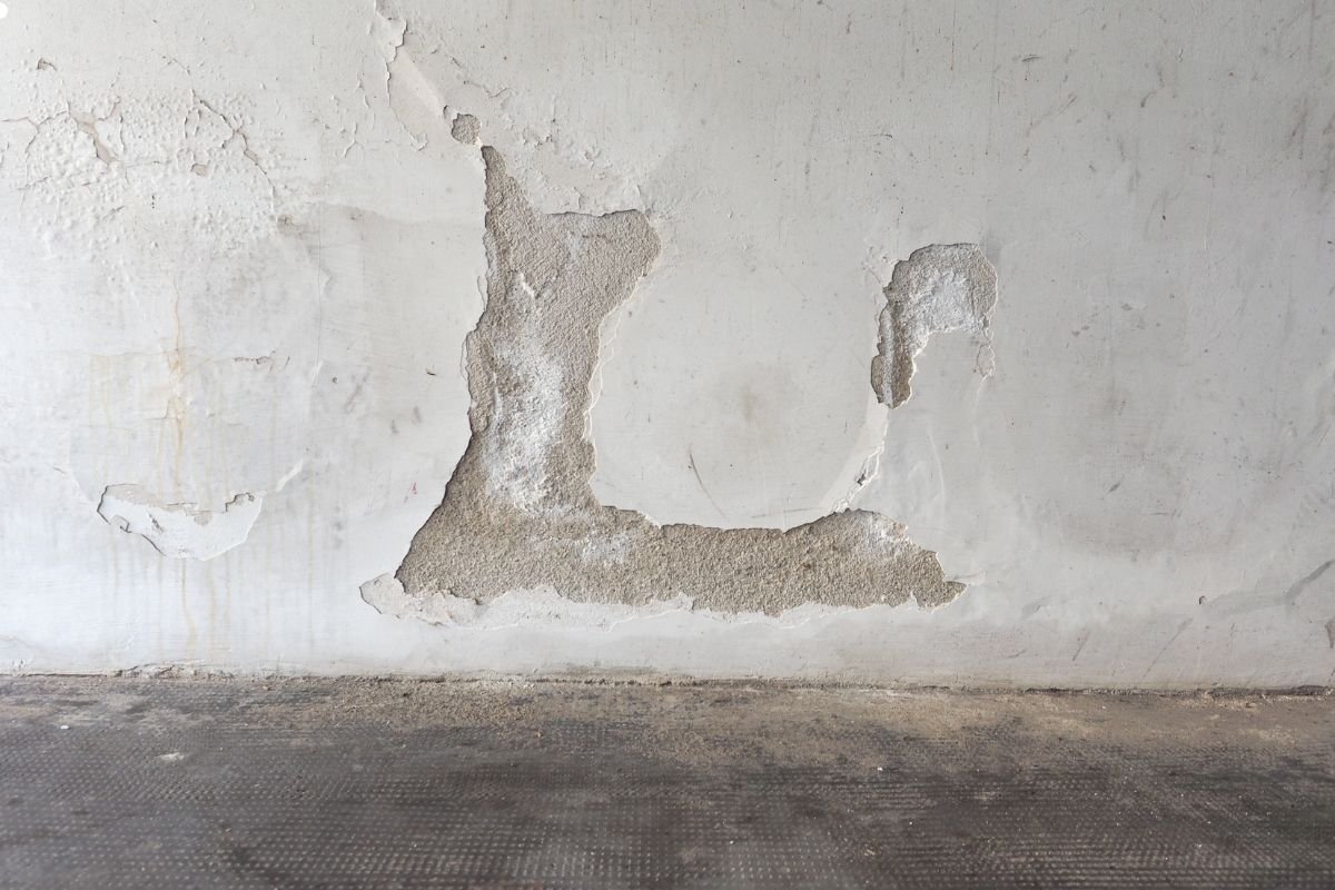 Examines a white wall with peeling paint and a hole, highlighting the urgency of addressing mold issues.