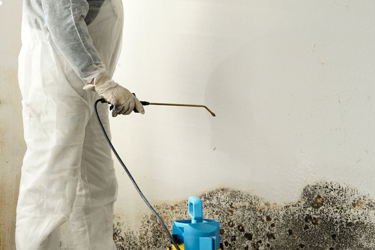 A mold remediation specialist in white overalls sprays a moldy wall, wearing protective gear for safety.