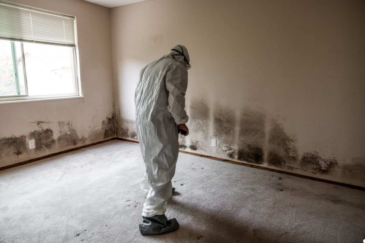 A man in a white suit stands in a room with visible mold on the walls, highlighting a contrast between his attire and the environment.